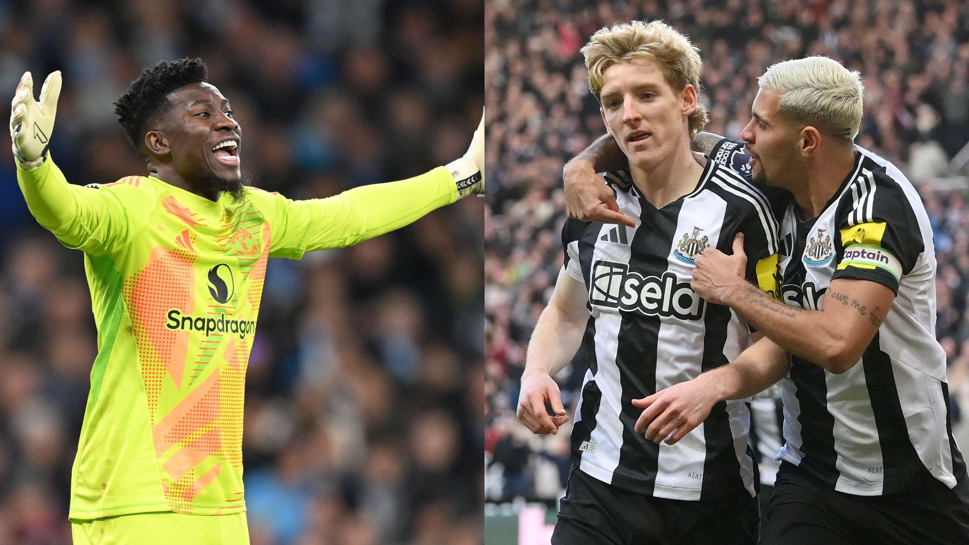 教训转化为 教训转化为