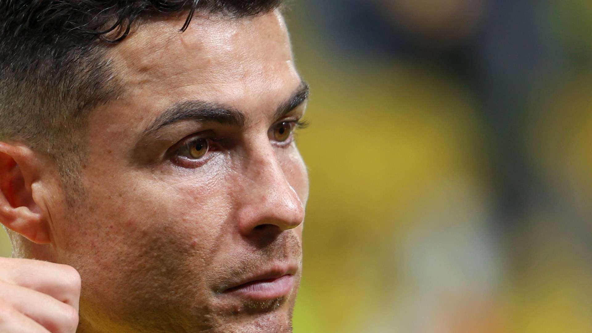 新的观赛体 新的观赛体