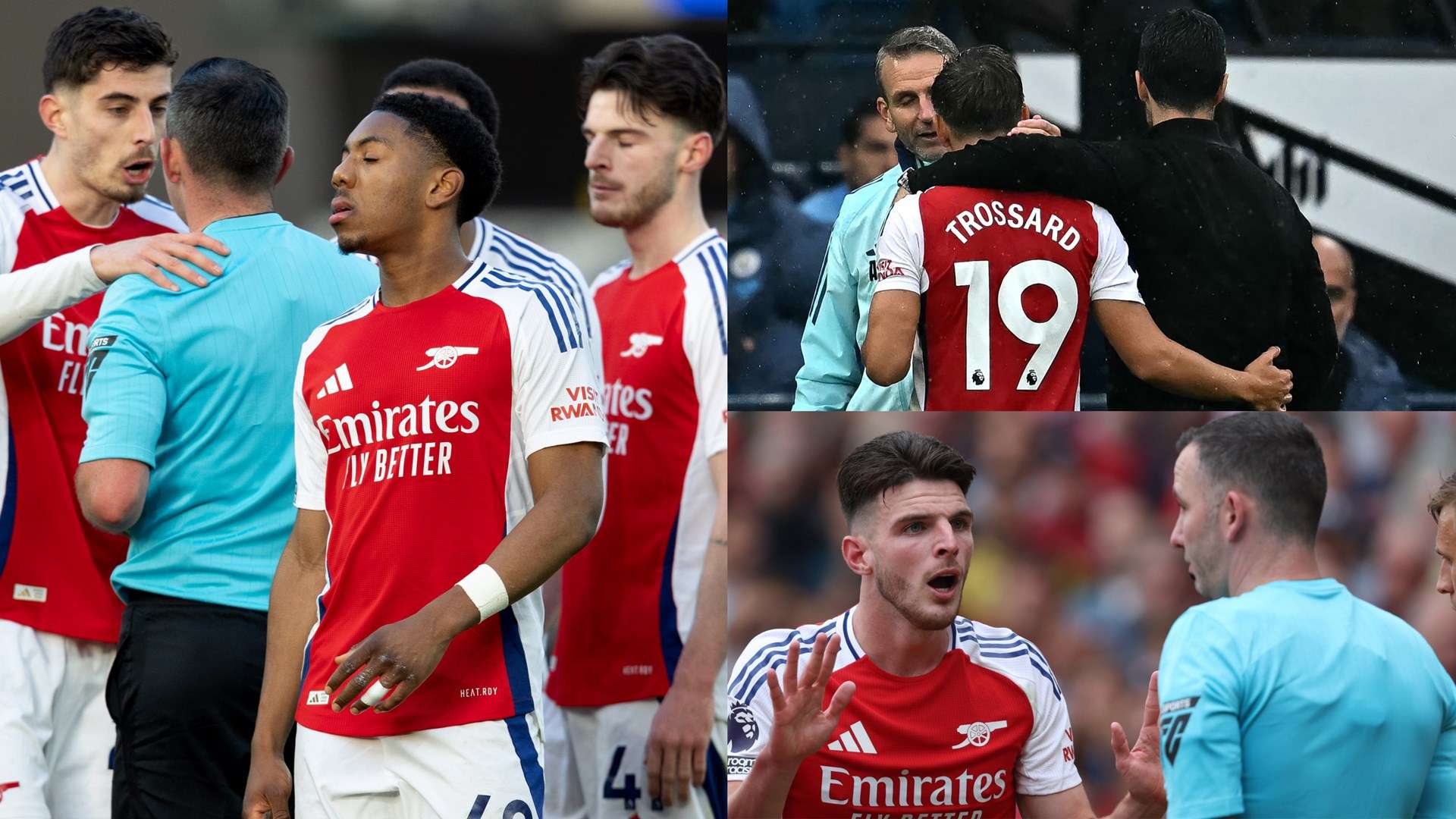 迅速适应了 迅速适应了