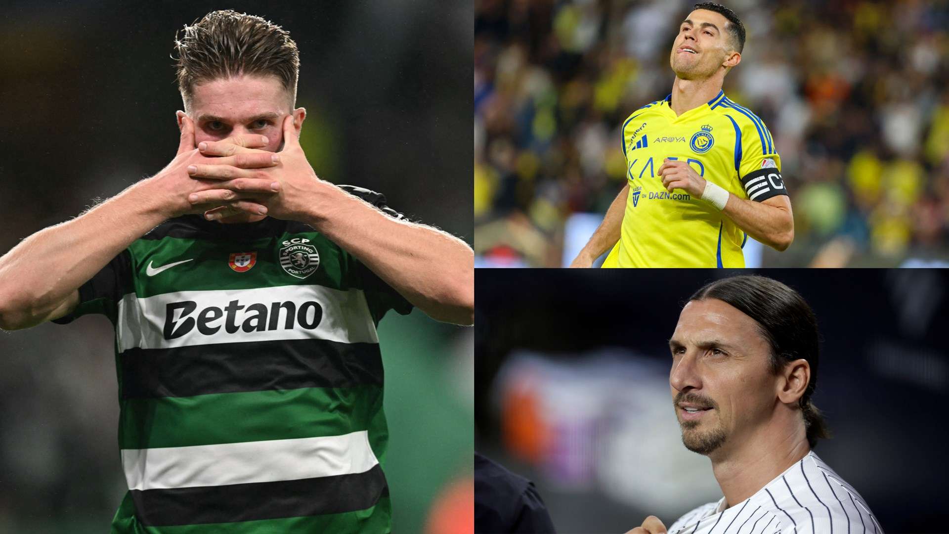 不能仅仅依 不能仅仅依